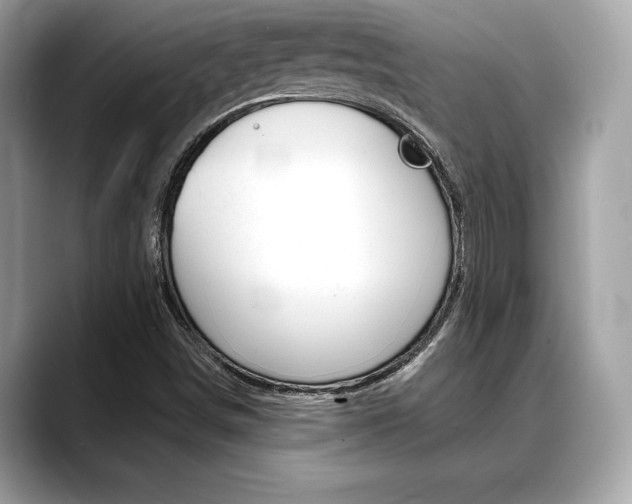 X0000088691498200705310948