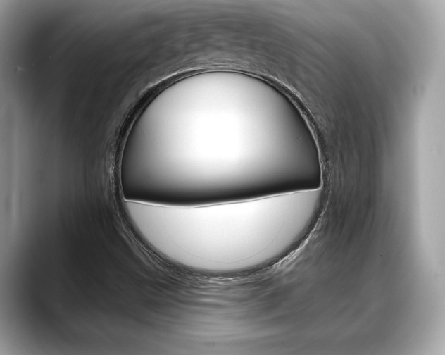 X0000088691499200705310948