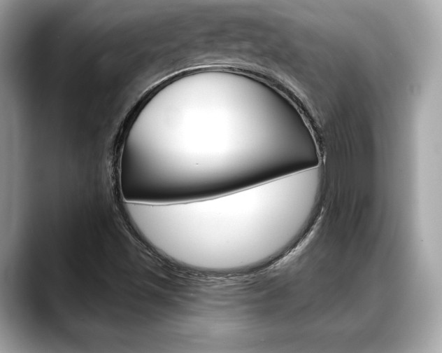 X0000088691501200705310948