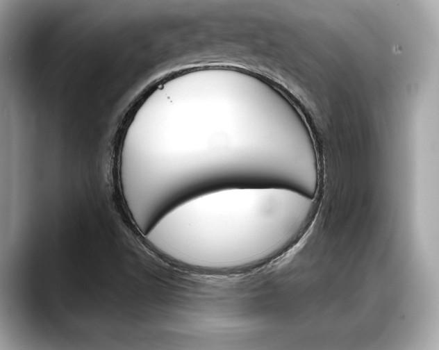 X0000088691502200705310948