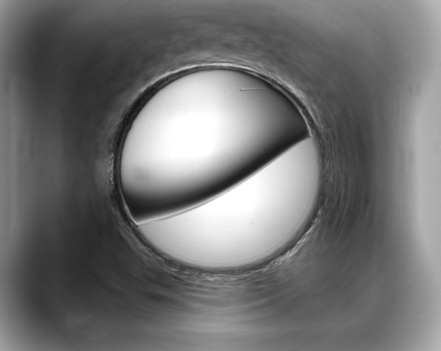 X0000088691503200705310948