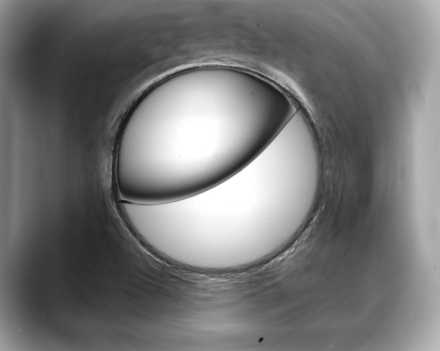 X0000088691504200705310948