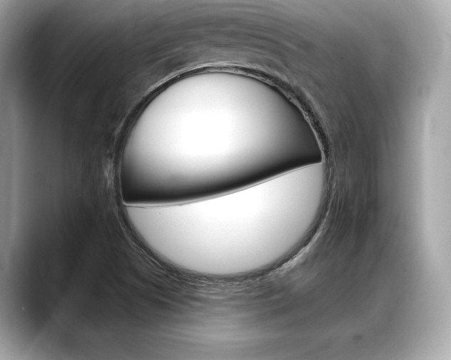 X0000088691505200705310948