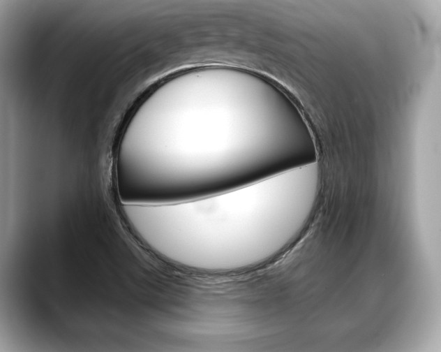 X0000088691507200705310948