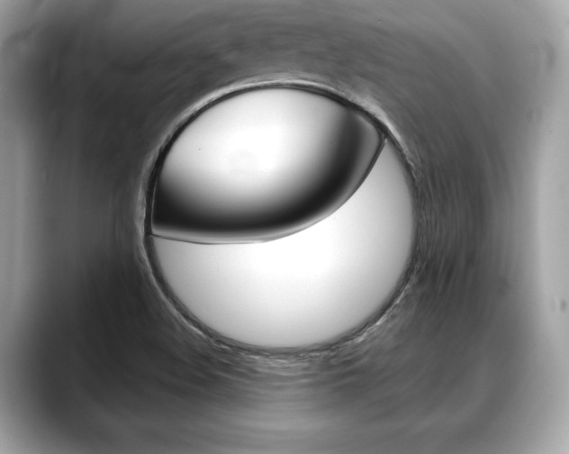 X0000088691508200705310948