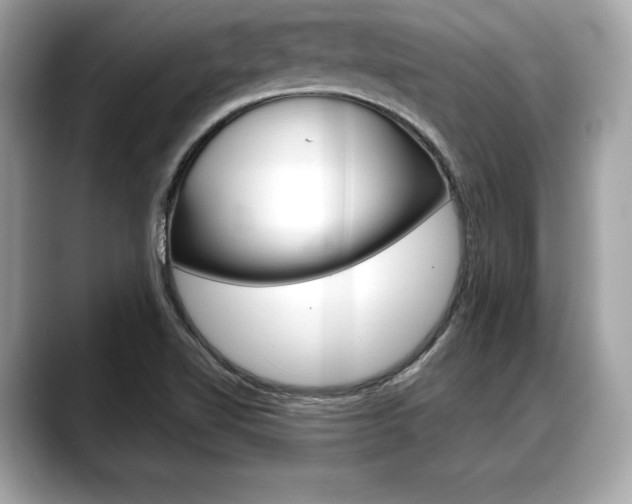 X0000088691510200705310948