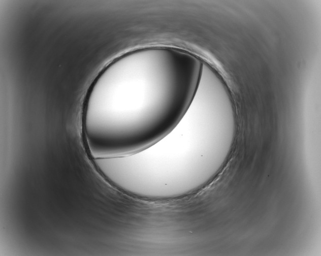 X0000088691512200705310948