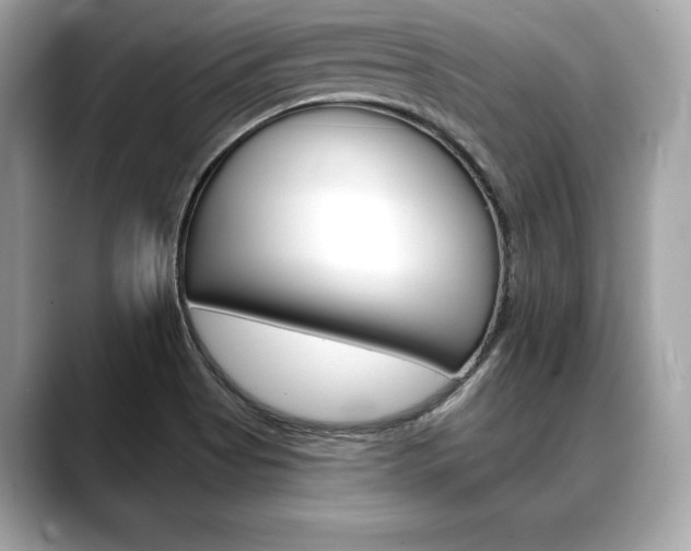 X0000088691513200705310948