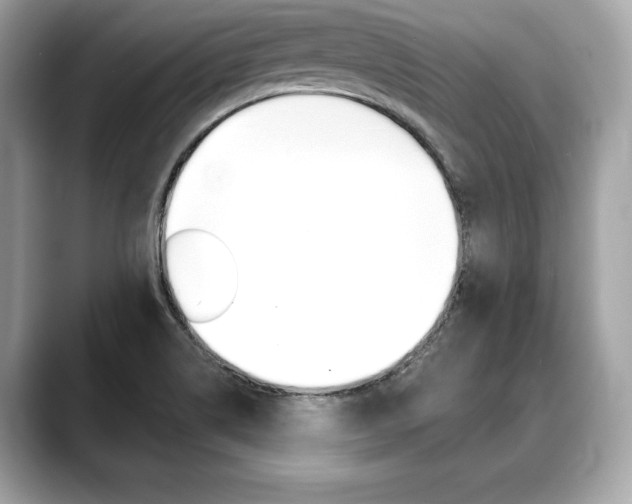 X0000088691514200705310948