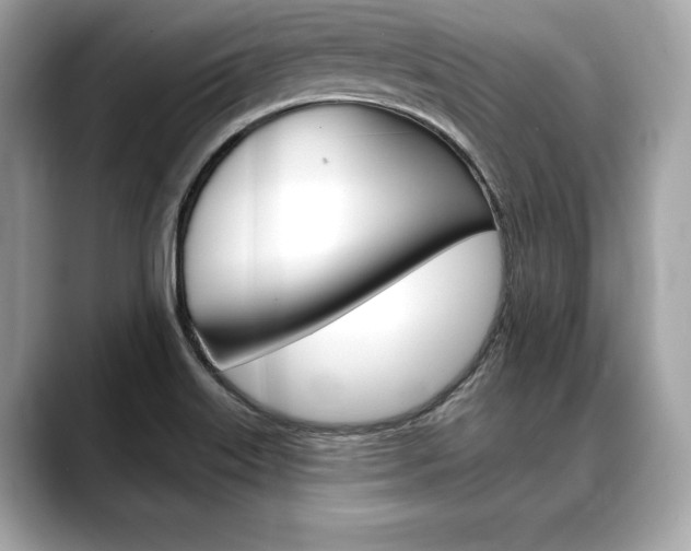 X0000088691515200705310948