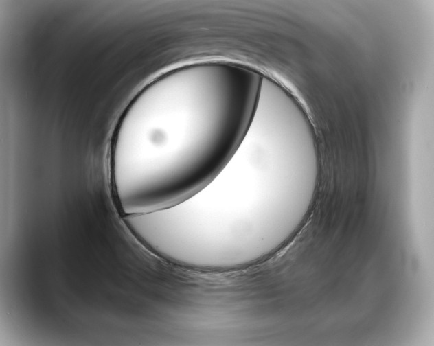 X0000088691516200705310948