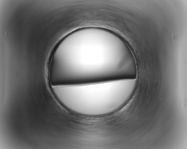 X0000088691517200705310948