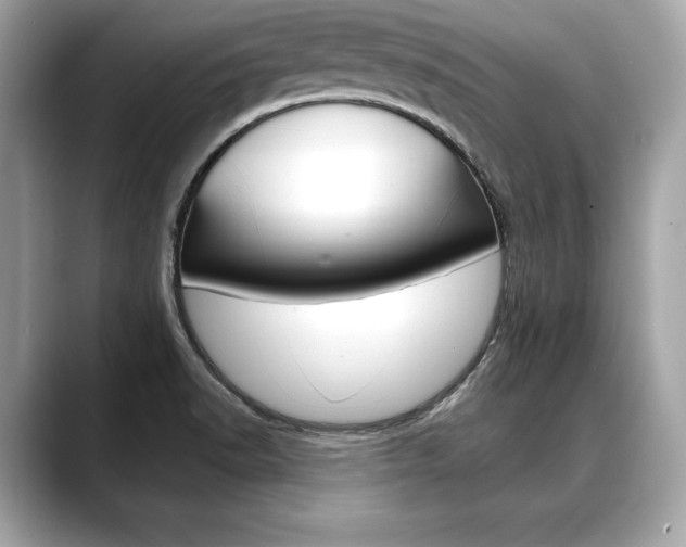 X0000088691518200705310948