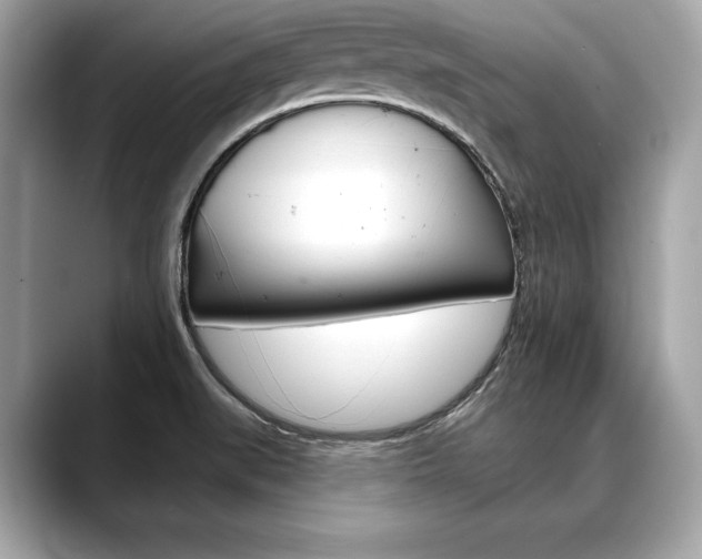 X0000088691519200705310948