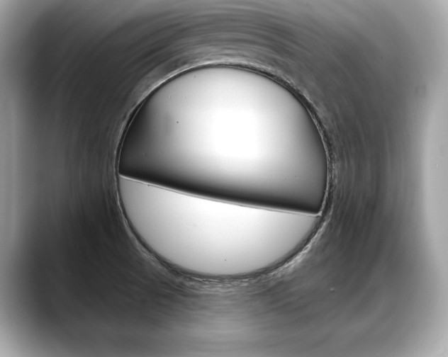 X0000088691521200705310948