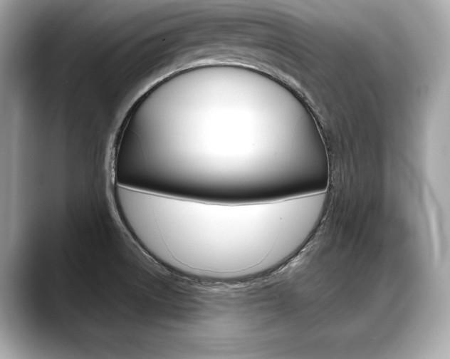 X0000088691522200705310948