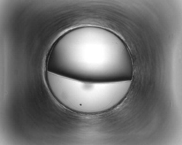 X0000088691523200705310948