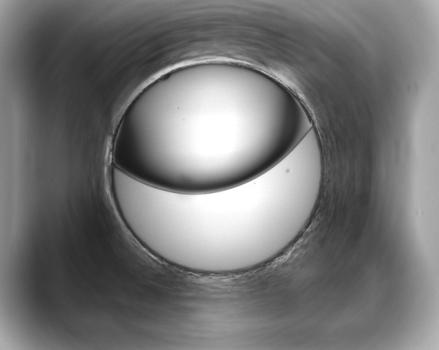 X0000088691524200705310948