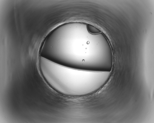 X0000088691525200705310948