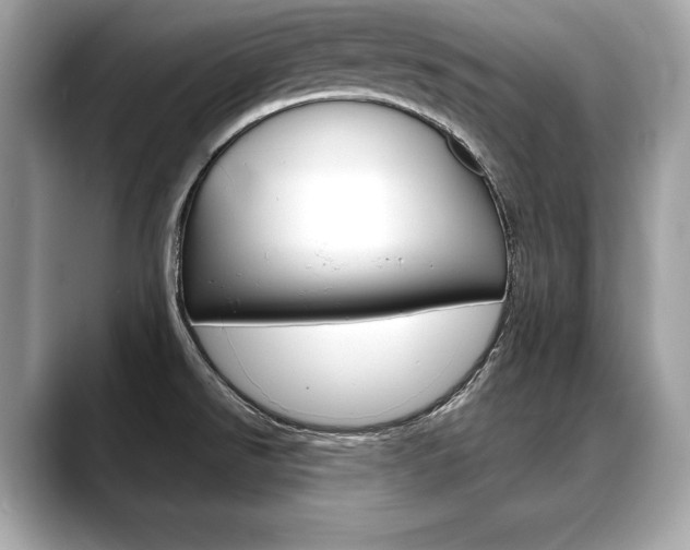 X0000088691526200705310948