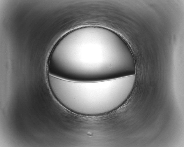 X0000088691527200705310948