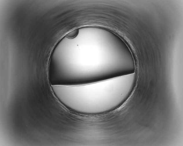 X0000088691529200705310948