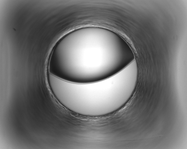 X0000088691530200705310948