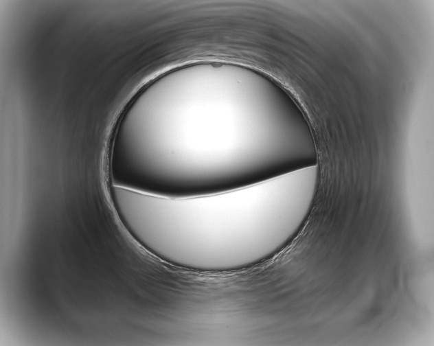 X0000088691531200705310948