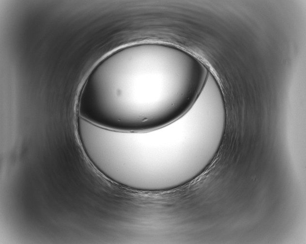 X0000088691532200705310948