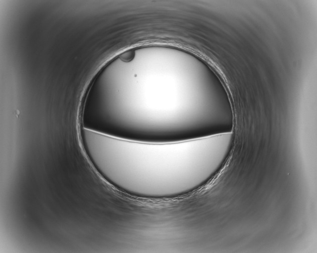 X0000088691533200705310948