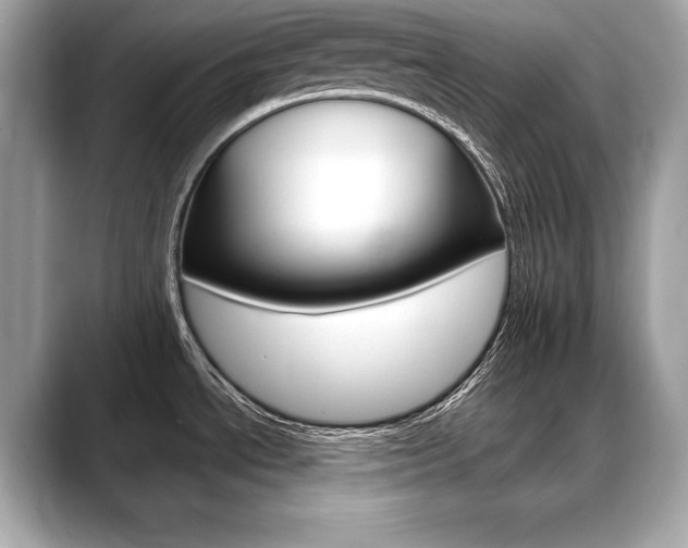 X0000088691534200705310948