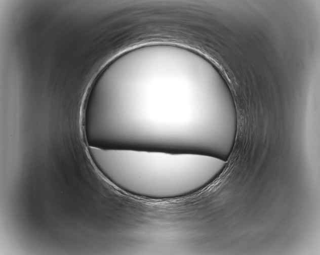 X0000088691535200705310949
