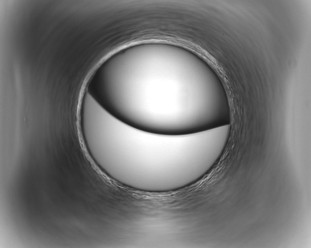 X0000088691536200705310949