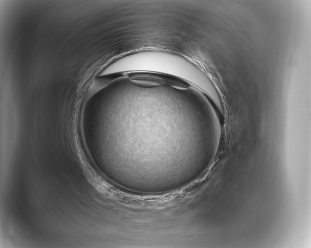 X0000088690001200705311205
