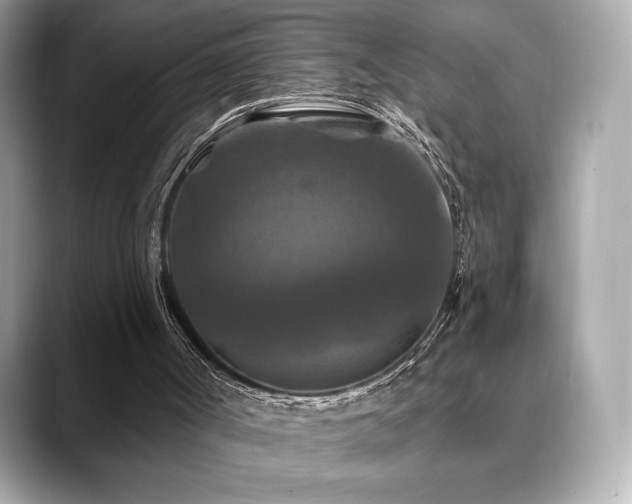 X0000088690002200705311205