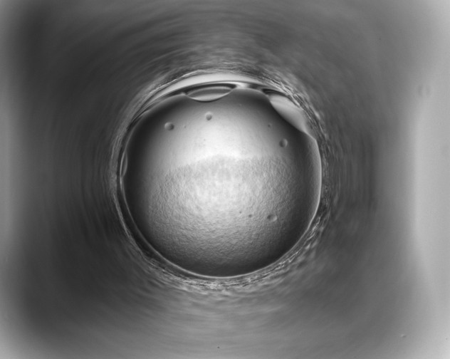 X0000088690003200705311205