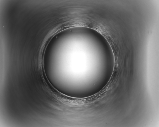 X0000088690004200705311205