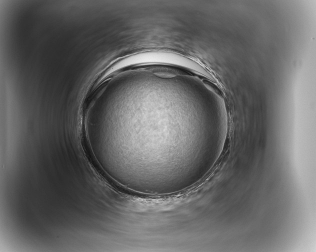 X0000088690005200705311205