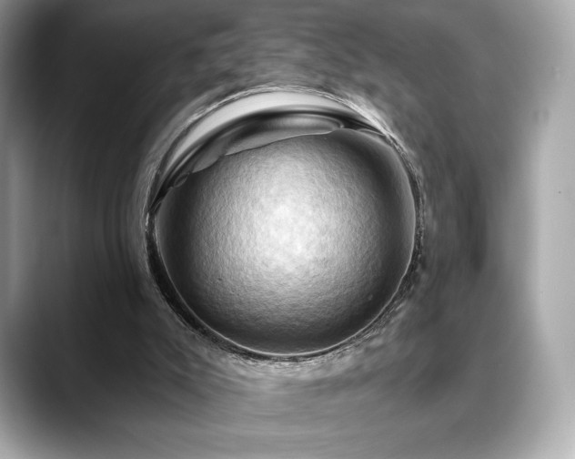 X0000088690007200705311205
