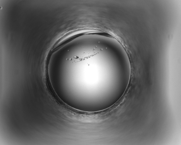X0000088690008200705311205