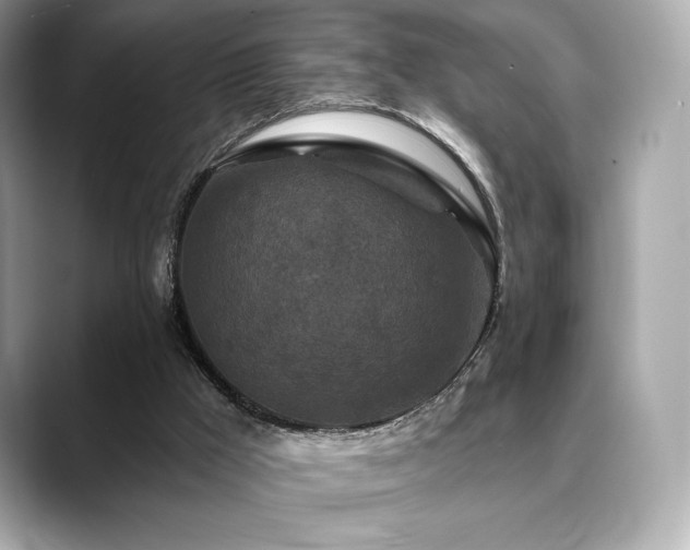 X0000088690009200705311205