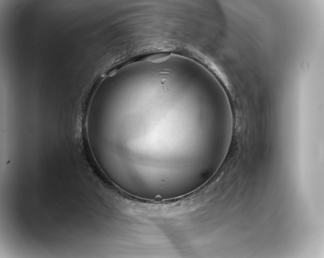 X0000088690010200705311205