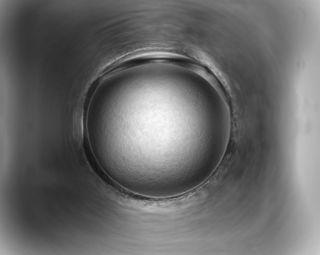X0000088690011200705311205
