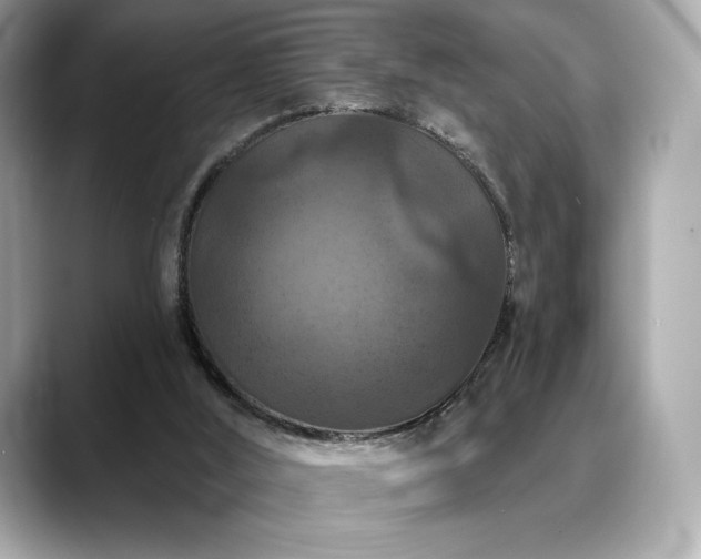 X0000088690012200705311205