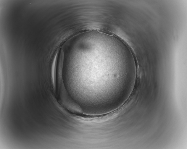 X0000088690013200705311205