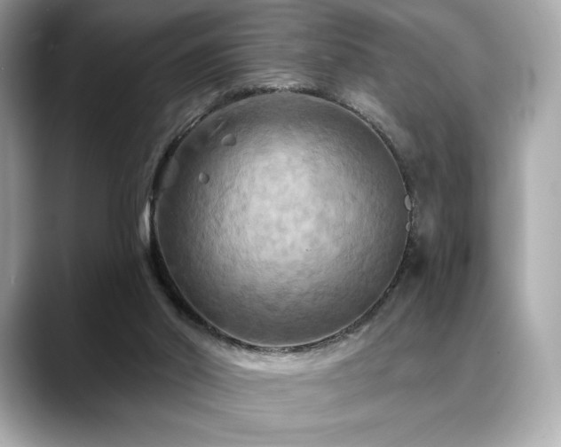 X0000088690014200705311205