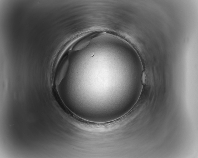 X0000088690015200705311205