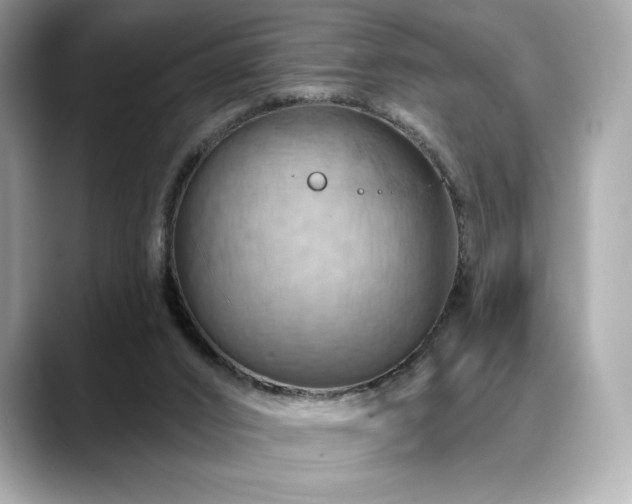 X0000088690016200705311205