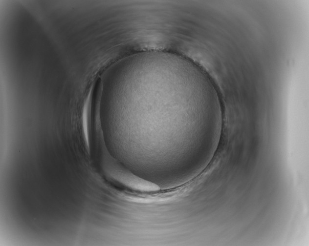 X0000088690017200705311205