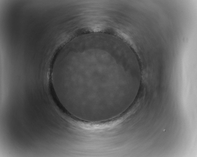 X0000088690018200705311205